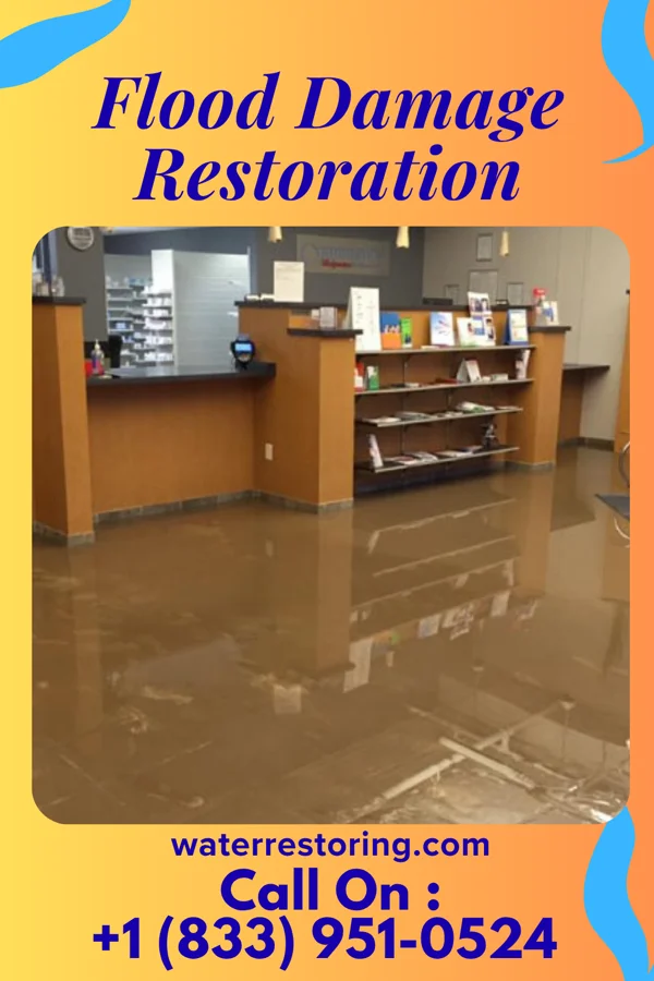 Flood Damage Restoration in South Alamo, TX